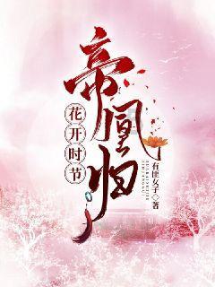 小艾比摄影家