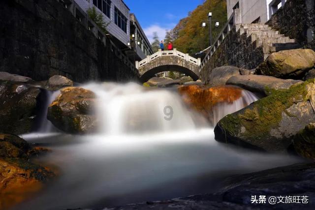 深度问答,畅所欲言——宠物绝育 是爱还是残忍蜗牛问答平台
